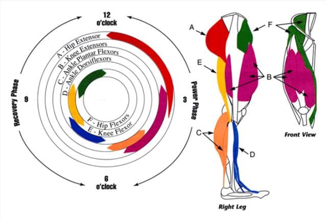 lior_pedalling_article_image2